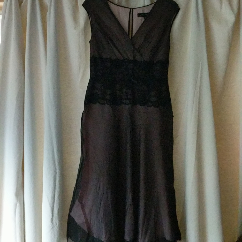Adrianna 100% Silk Dress Size 4